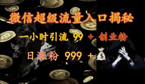 微信超级流量入口揭秘:一小时引流 99 + 创业粉,日涨粉 999 +-rose网创