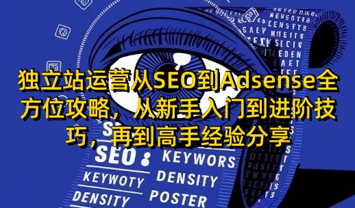 独立站运营从SEO到Adsense全方位攻略，从新手入门到进阶技巧，再到高手经验分享-rose网创