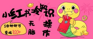 小红书冷知识账号,无脑复制粘贴,5分钟即可变现3张-rose网创