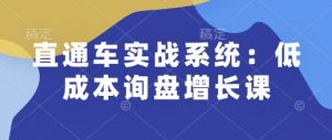 直通车实战系统:低成本询盘增长课,让个人通过技能实现升职加薪,让企业低成本获客,订单源源不断-rose网创