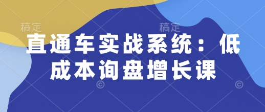 直通车实战系统:低成本询盘增长课,让个人通过技能实现升职加薪,让企业低成本获客,订单源源不断-rose网创