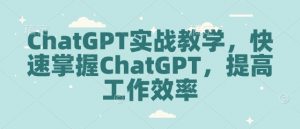 ChatGPT实战教学,快速掌握ChatGPT,提高工作效率-rose网创