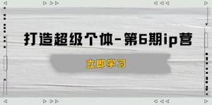 打造 超级个体-第6期ip营:商业认知,产品设计,成交演练,解决知识变现难题-rose网创
