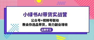 小绿书AI带货实战营:公众号+视频号联动,教会你选品带货,助力副业增收-rose网创
