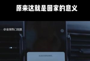 利用春节风口，制作热点视频，多种玩法类型，新手也能轻松变现！-rose网创