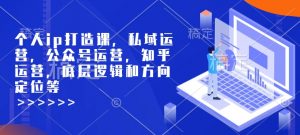 个人ip打造课，私域运营，公众号运营，知乎运营，底层逻辑和方向定位等-rose网创