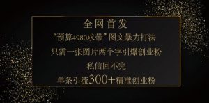 小红书神奇图片引流法,只需一张图,就能单条笔记凭借此方法,轻松引流 300 + 精准创业粉-rose网创