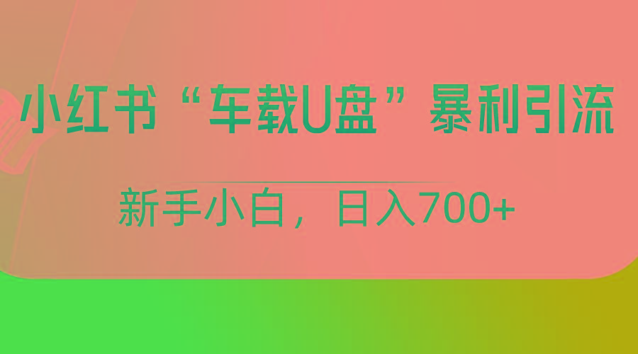 小红书“车载U盘”项目，暴利引流，新手小白轻松日入700+-rose网创