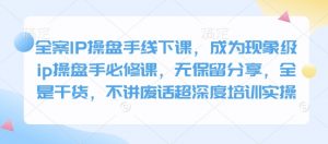 全案IP操盘手线下课，成为现象级ip操盘手必修课，无保留分享，全是干货，不讲废话超深度培训实操-rose网创