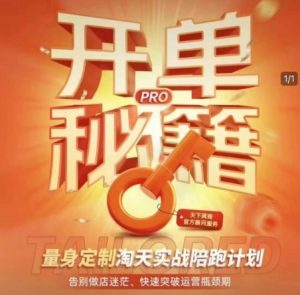 淘宝开单秘籍PRO,量身定制淘天实战陪跑计划,告别做店迷茫、快速突破运营瓶颈期-rose网创