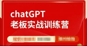 ChatGPT老板实战训练营,用GPT带飞,一人顶一个团队-rose网创