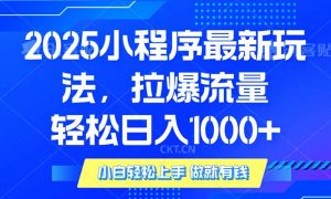 2025年小程序最新玩法，流量直接拉爆，单日稳定变现1000+-rose网创