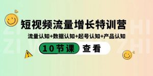 短视频流量增长特训营:流量认知+数据认知+起号认知+产品认知(10节课)-rose网创