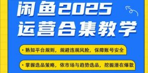2025闲鱼电商运营全集，2025最新咸鱼玩法-rose网创