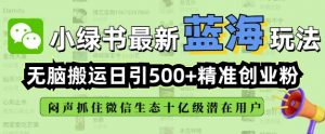 小绿书无脑搬运引流,全自动日引500精准创业粉,微信生态内又一个闷声发财的机会-rose网创