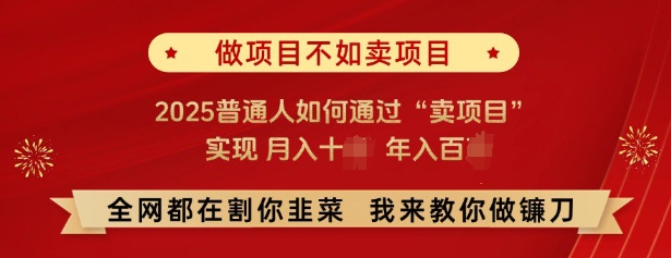 必看，做项目不如卖项目，2025普通人如何通过“卖项目”实现月入十个，年入百个-rose网创