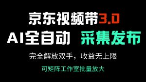 京东视频带货3.0,Ai全自动采集+自动发布,完全解放双手,收入无上限...-rose网创