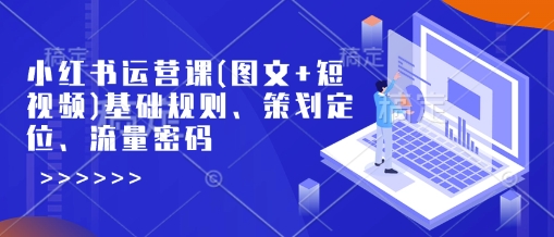 小红书运营课(图文+短视频)基础规则、策划定位、流量密码-rose网创