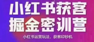 小红书获客掘金线下课,录音+ppt照片,小红书运营玩法,获客印钞机-rose网创