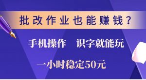 批改作业也能赚钱？0门槛手机项目，识字就能玩！一小时稳定50元！-rose网创