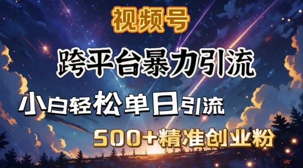 跨平台暴力引流,私域完美闭环,日引500+精准创业粉-rose网创