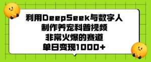 利用DeepSeek与数字人制作养宠科普视频，非常火爆的赛道，单日变现多张-rose网创