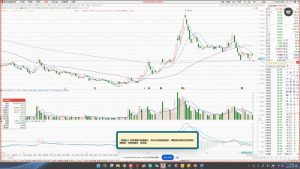 大师兄·鹿鼎山系列内部课程(更新2025年1月)-rose网创