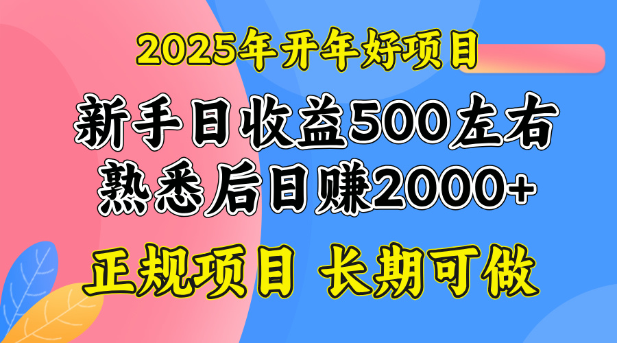 2025开年好项目，单号日收益2000左右-rose网创