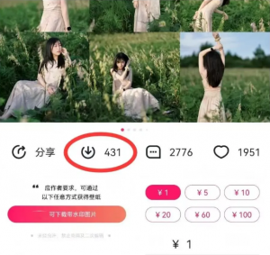 最新图虫搬运项目，收益无上限，利用AI小白也可日赚500+-rose网创