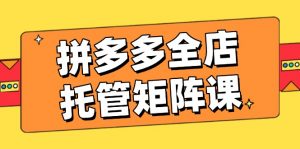 拼多多全店托管矩阵课,盈利动销玩法,高效计划设置,提升店铺效益-rose网创