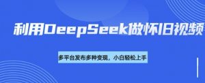 利用DeepSeek做怀旧视频，流量号多渠道变现能力强-rose网创