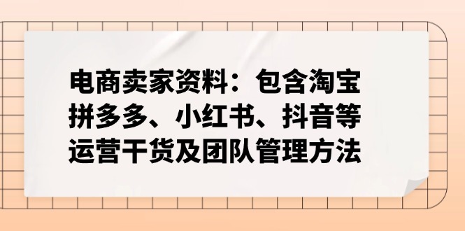 电商卖家资料：包含淘宝、拼多多、小红书、抖音等运营干货及团队管理方法-rose网创