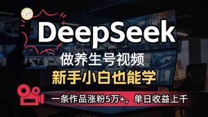 小白用DeepSeek做养生号，一条作品涨粉5万+，单日收益上千-rose网创