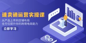 速卖通运营实操课,从产品上传到店铺布局,全方位提升你的跨境电商能力-rose网创