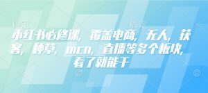 小红书必修课,覆盖电商,无人,获客,种草,mcn,直播等多个板块,看了就能干-rose网创