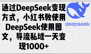 通过DeepSeek变现方式，小红书教使用DeepSeek图文，导流私域一天变现1000+-rose网创
