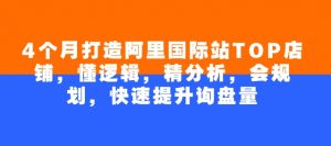 4个月打造阿里国际站TOP店铺,懂逻辑,精分析,会规划,快速提升询盘量-rose网创