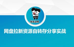 网盘拉新资源自动转存分享实战-rose网创