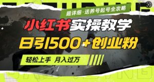 2月小红书最新日引500+创业粉实操教学【超详细】小白轻松上手,月入1W+,附小红书养号起号SOP-rose网创