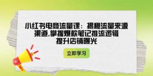 小红书电商流量课:揭秘流量来源渠道,掌握爆款笔记推流逻辑,提升店铺曝光-rose网创