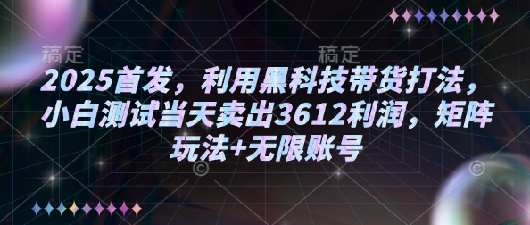 2025首发，利用黑科技带货打法，小白测试当天卖出3612利润，矩阵玩法+无限账号【揭秘】-rose网创