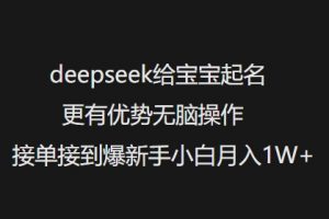 deepseek给宝宝起名更有优势无脑操作接单接到爆新手小白月入1W+-rose网创