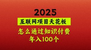 2025项目天花板，普通怎么通过知识付费翻身，年入百个【揭秘】-rose网创