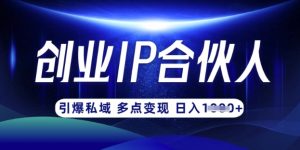 云帆·创业ip合伙人打造3.0,从0到1教你做网创,实现月入过W-rose网创