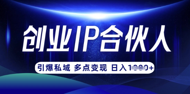 云帆·创业ip合伙人打造3.0,从0到1教你做网创,实现月入过W-rose网创
