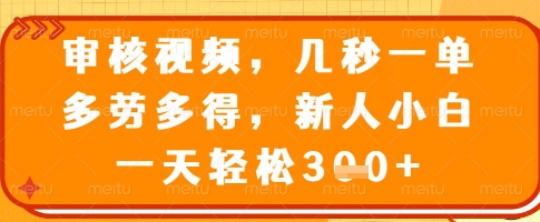 审核视频，几秒一单，多劳多得，新人小白一天轻松3张【揭秘】-rose网创