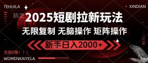 2025短剧拉新玩法，无需注册登录，无限0撸，无脑批量操作日入2000+-rose网创
