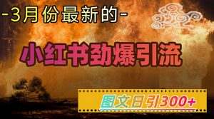 小红书超劲爆引流手段，图文日引300+轻松变现1W-rose网创