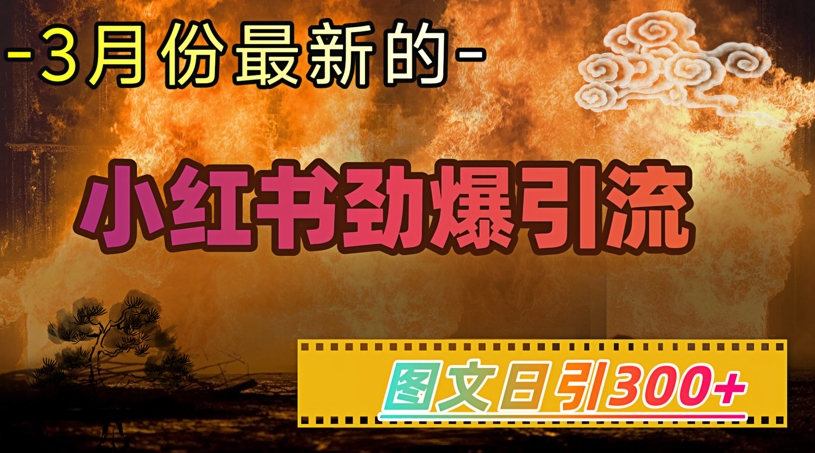 小红书超劲爆引流手段，图文日引300+轻松变现1W-rose网创