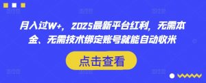 月入过W+，2025最新平台红利，无需本金、无需技术绑定账号就能自动收米-rose网创